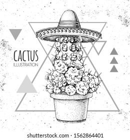 Hand drawing cactus in sombrero hat on grunge triangle background. Vector illustration