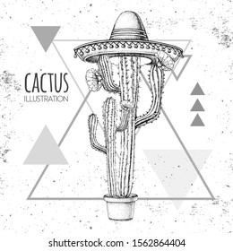 Hand drawing cactus in sombrero hat on grunge triangle background. Vector illustration