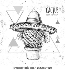 Hand drawing cactus in sombrero hat on grunge triangle background. Vector illustration