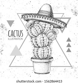 Hand drawing cactus in sombrero hat on grunge triangle background. Vector illustration