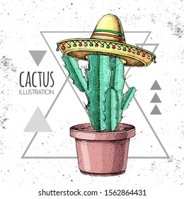 Hand drawing cactus in sombrero hat on grunge triangle background. Vector illustration