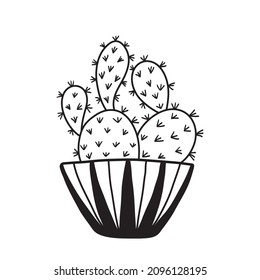 Hand drawing of a cactus. Vector black line illustration.