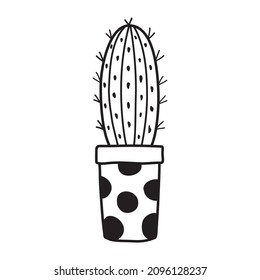 Hand drawing of a cactus. Vector black line illustration.