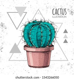 Hand drawing cactus vector illustration on grunge triangle background