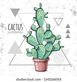 Hand drawing cactus vector illustration on grunge triangle background