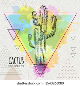Hand drawing cactus vector illustration on artistic watercolor triangle background
