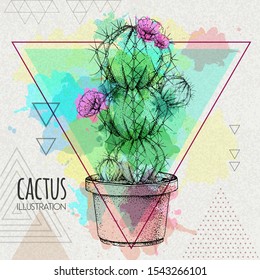 Hand drawing cactus vector illustration on artistic watercolor triangle background