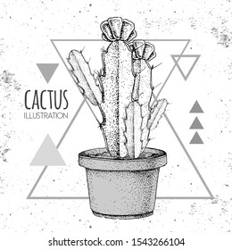 Hand drawing cactus vector illustration on grunge triangle background