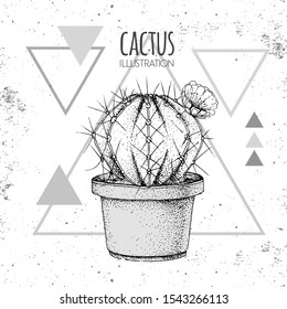 Hand drawing cactus vector illustration on grunge triangle background
