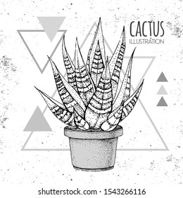 Hand drawing cactus vector illustration on grunge triangle background
