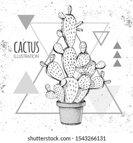 Hand drawing cactus vector illustration on grunge triangle background