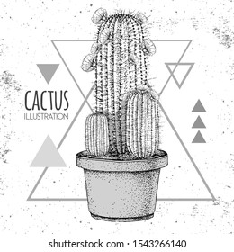 Hand drawing cactus vector illustration on grunge triangle background