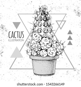 Hand drawing cactus vector illustration on grunge triangle background