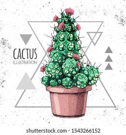 Hand drawing cactus vector illustration on grunge triangle background