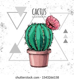 Hand drawing cactus vector illustration on grunge triangle background