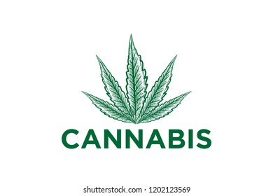 hand drawing cannabis leaf logo Designs Inspiration Isolated on White Background