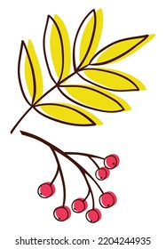 Hand drawing cartoon autumn rowan leaves. Fun pretty doodle vector flat style. Cute simple red rowanberry