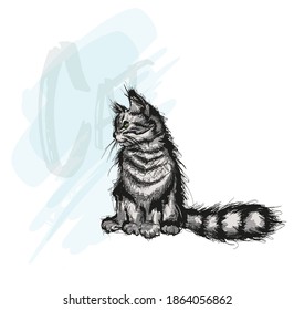 Hand drawing cat. Graceful cat. Hand drawn kitty. Sketch.