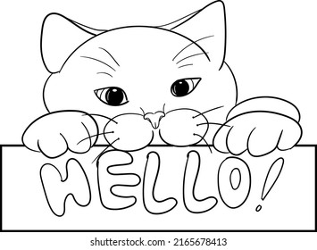 Hand Drawing of a Cat Holding a Letter