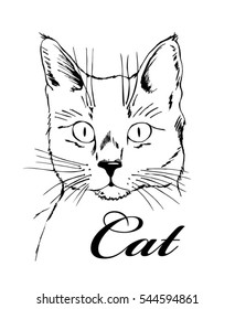 Hand drawing cat. Drawing ink. Isolated vector.