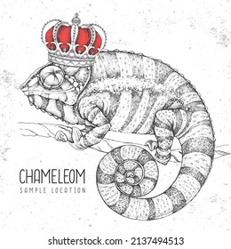 Hand Drawing Chameleon Illustration With Crown. Graphic Art. Vector Illustration