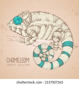 Hand drawing chameleon illustration. Graphic art. Vector illustration