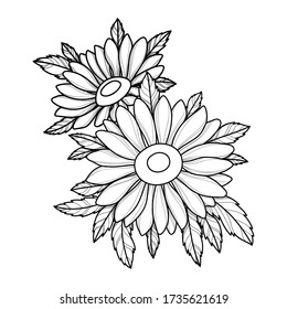 Hand drawing chamomile flower for greeting card, invitation, Henna drawing and tattoo template. Vector illustration