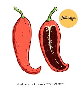 Hand drawing chilli pepper vector illustration. Sketchy sliced vegetables, hot spicy mexican perpper
