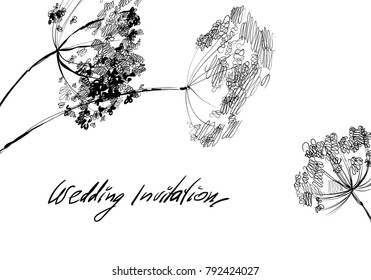 Hand drawing clover shamrock herbal grass. Nifty footstalk silhouette. Vintage styling gentle element for natural cosmetic design. Flower and leaves botanic sketch silhouette for wedding