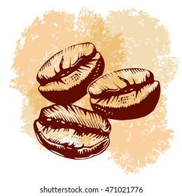 Hand drawing coffee beans.