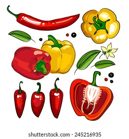 hand drawing collection paprika pepper chili