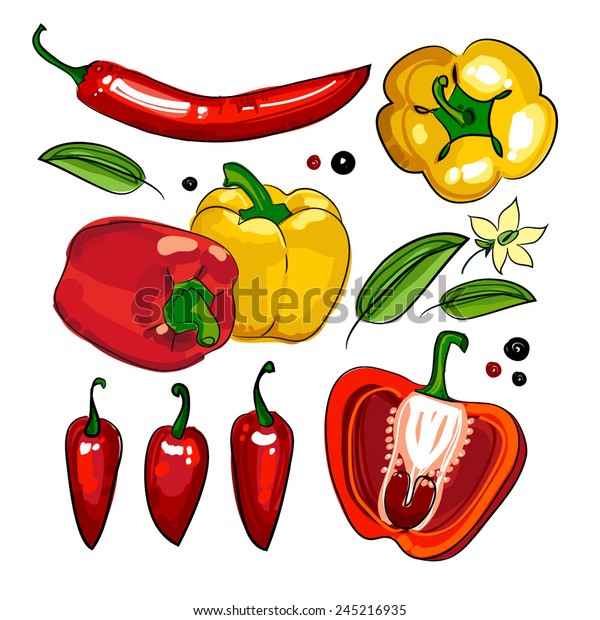 Hand Drawing Collection Paprika Pepper Chili Stock Vector (Royalty Free