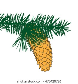 Hand drawing collection of pine cone on the tree branch. Forest vintage fir cone, spruce cone with needles. Color conifer cone on tree. Cedars, firs, hemlocks, larches, pines or spruces.
