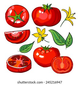hand drawing collection tomato