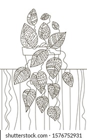 Hand drawing coloring book for children and adults. A beautiful pattern with small details for creativity. Antistress decor still life with house plant.