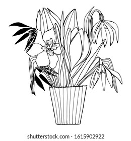 Hand drawing coloring book for children and adult mascara. Beautiful drawings with patterns and small details. Still life vase with wildflowers, spring garden flowers. A series of anti-stress pictures