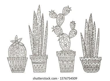 Hand drawing coloring pages for children and adults. A beautiful pattern with small details for creativity. Antistress decor steal lifes with cozy home plants, cacti and sansevieria.