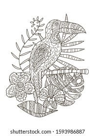 Hand drawing coloring pages for children and adults. A beautiful pattern with small details for creativity. Antistress coloring book with toucan,tropical flowers, orchid, monstera, palm