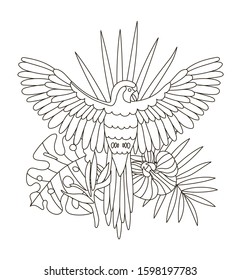 Hand drawing coloring pages for children and adults. A beautiful  coloring book with tropics.A parrot flies on a branch among the leaves of monstera. Linear illustration of a jungle with a bird.