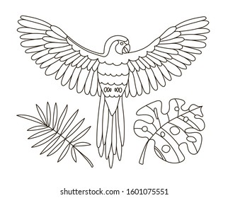 Hand drawing coloring pages for children and adults. A beautiful  coloring book with tropics.A parrot flies on a branch among the leaves of monstera. Linear illustration of a jungle with a bird.