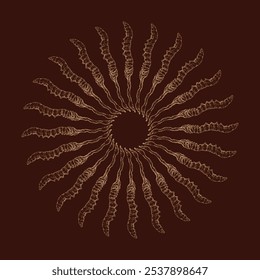 Hand drawing of Cordyceps sinensis arranged in a circle. CHONG CAO. DONG CHONG XIA CAO or cordyceps mushrooms. Vector illustration.