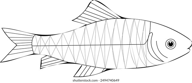hand drawing cotton fish line art