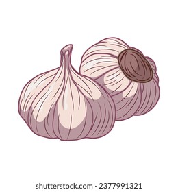 Handzeichnung eines Paares von Knoblauch, Vektorgrafik einzeln auf weißem Hintergrund