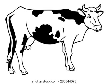 Hand Drawing Cow Spots On White Stock Vector (Royalty Free) 288344093 ...