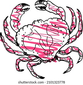 Hand drawing  crab . Vector illustration in  doodle style
