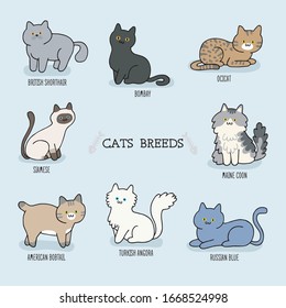 Hand drawing cute cats. Vector kitty collection. Animal kitty od set, cartoon cat character illustration