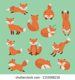 Hand drawing cute fox with a lot of variation