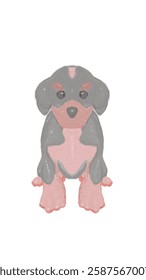 Hand Drawing Dachsund Dog in Grey and Brown