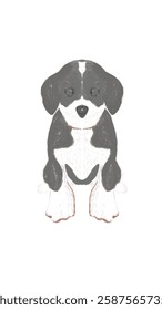 Hand Drawing Dachsund Dog White Black