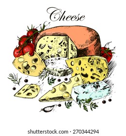 Hand drawing of dairy products, cheese, herbs and vegetables on a white background. Vector.